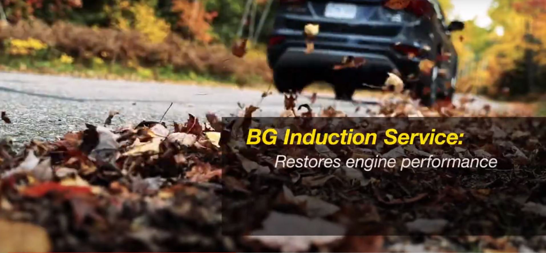 BG Fuel Induction Service Kit 2902 Intake and System Cleaner 44k With Pocket Screwdriver
