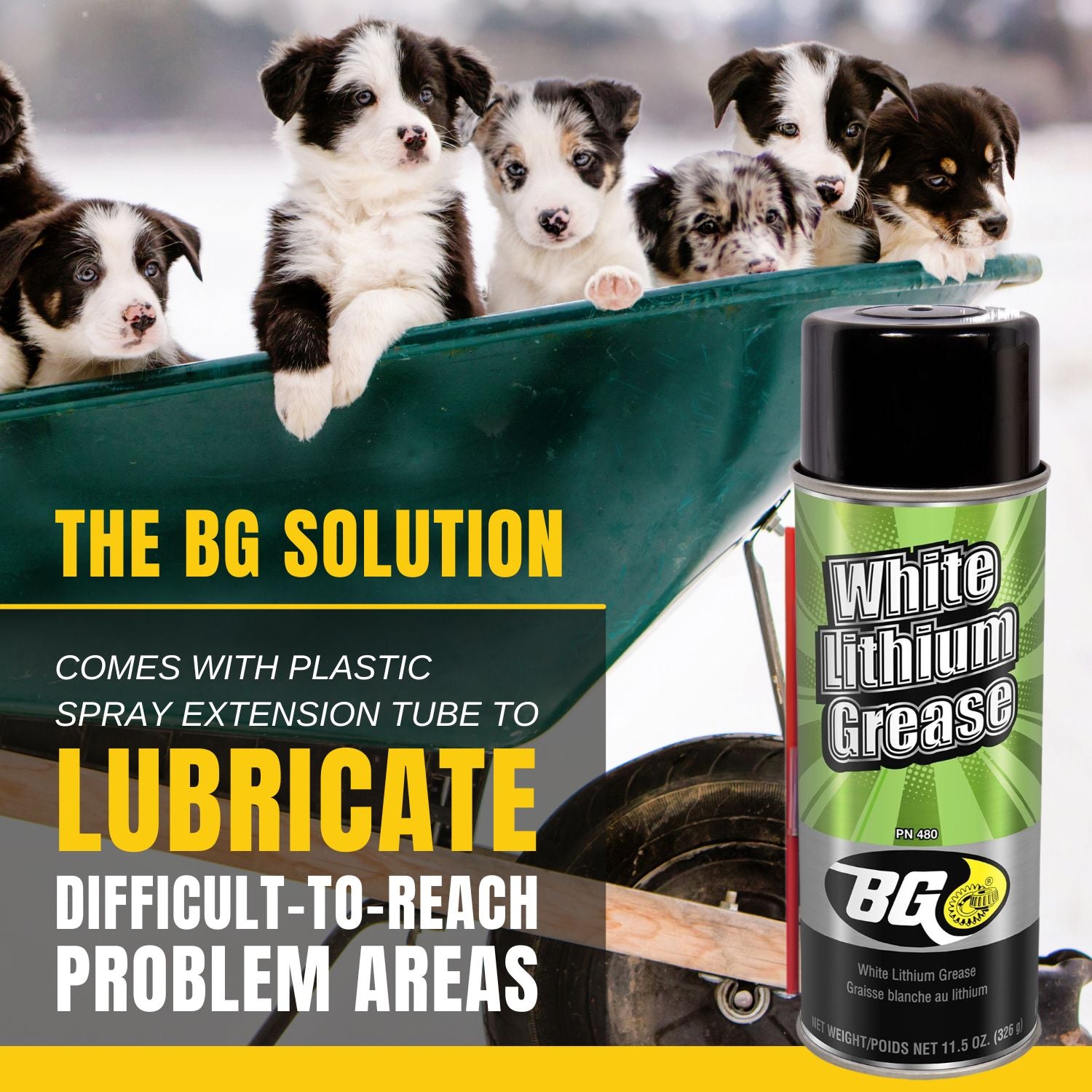 BG White Lithium Grease Infographic 4