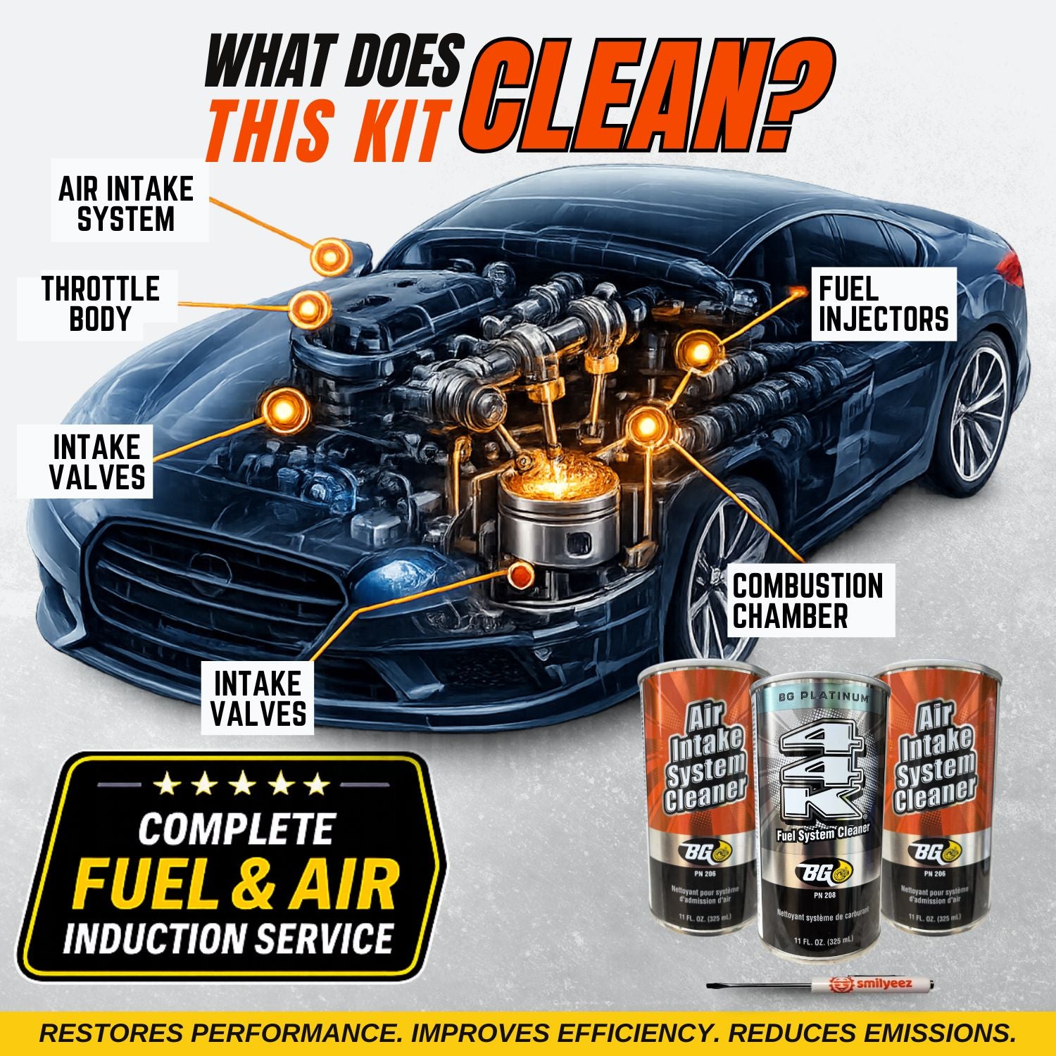 BG Fuel Induction Service Kit PN 2902 Intake and Fuel System Cleaner PN 206 & PN 208 44k With Smilyeez Pocket Screwdriver