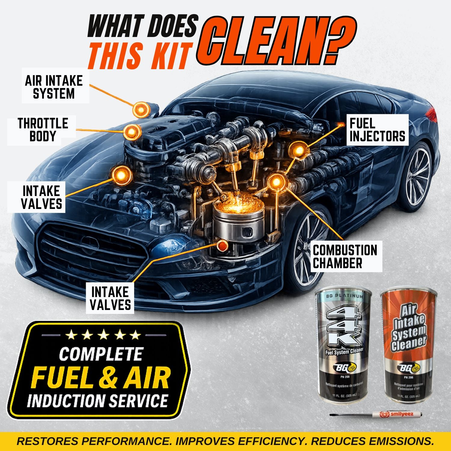 BG K1003 Fuel Injection & Combustion Chamber Cleaner PN 201 & BG Platinum 44K Fuel System Cleaner PN 208 With Pocket Screwdriver